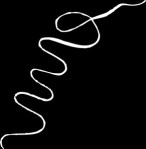 Tristram Shandy Line - after Laurence Sterne